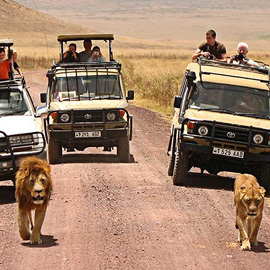 Ngorongoro Safaris</br> 06 Days