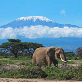 Climbing Kilimanjaro</br>06 Days